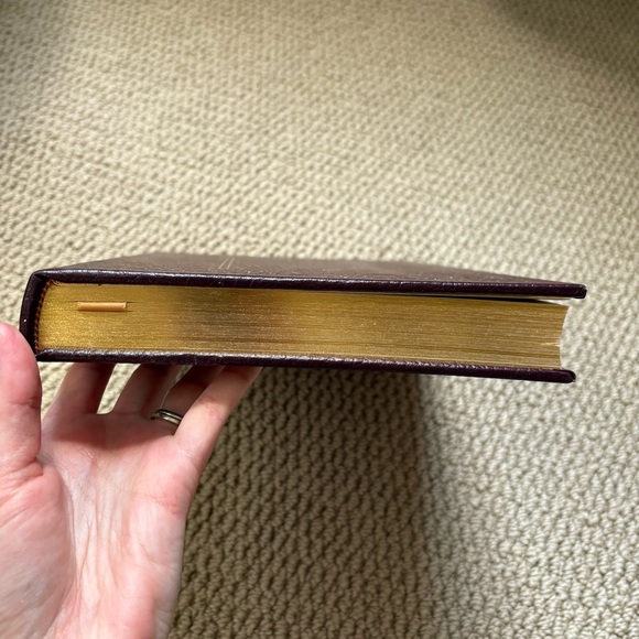 Faust by Goethe - Picture 5 of 8